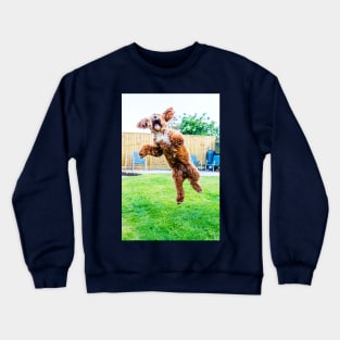 Crazy Cockapoo Puppy Crewneck Sweatshirt